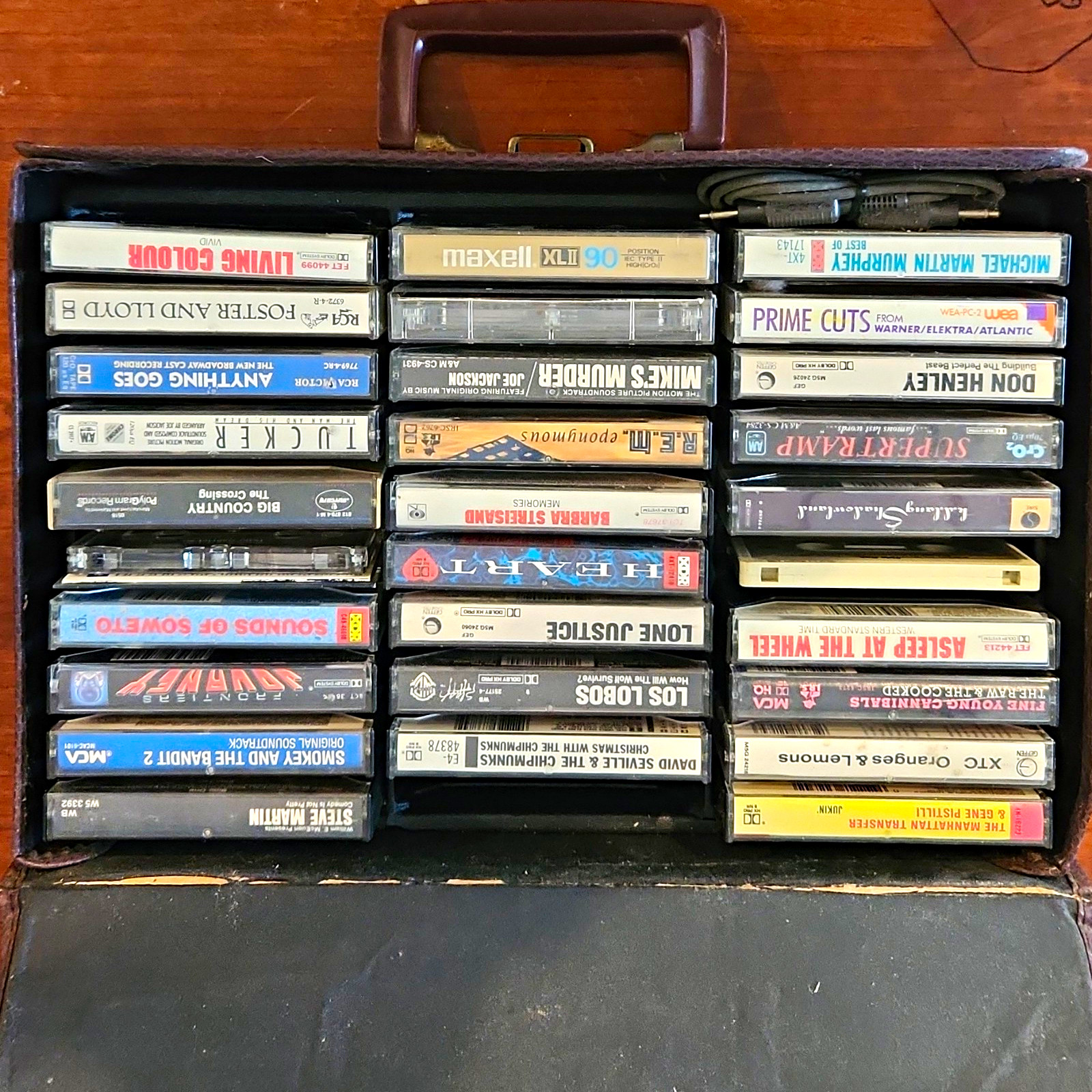 True Vintage 1980s Brown Hard Suit Carrier Case And Cassettes