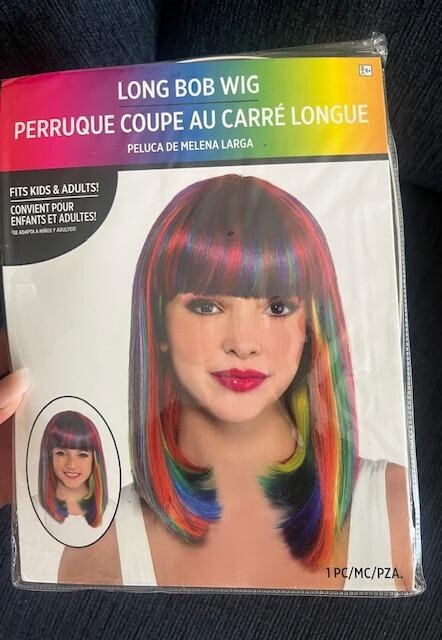 RAINBOW LONG BOB WIG PRODUCT