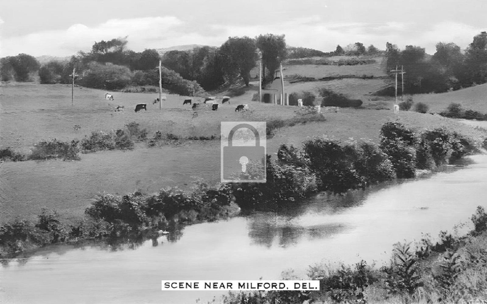 Scene Near Milford Delaware DE - Reprint Scene Near Milford Delaware DE - Reprint