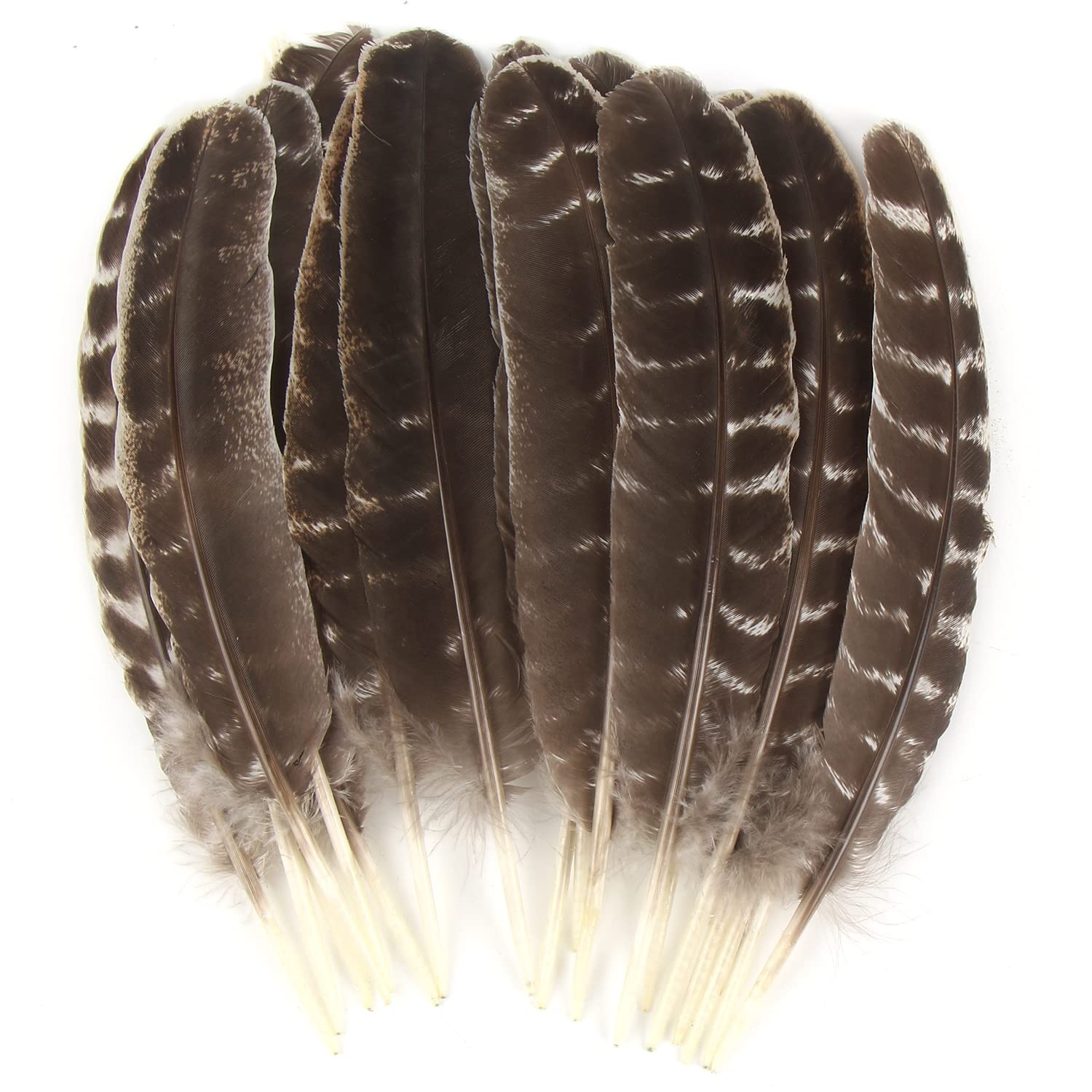 CCINEE 15pcs Natural Turkey Feather, 10-11 Feathers CCINEE 15pcs Natural Turkey Feather, 10-11 Feathers