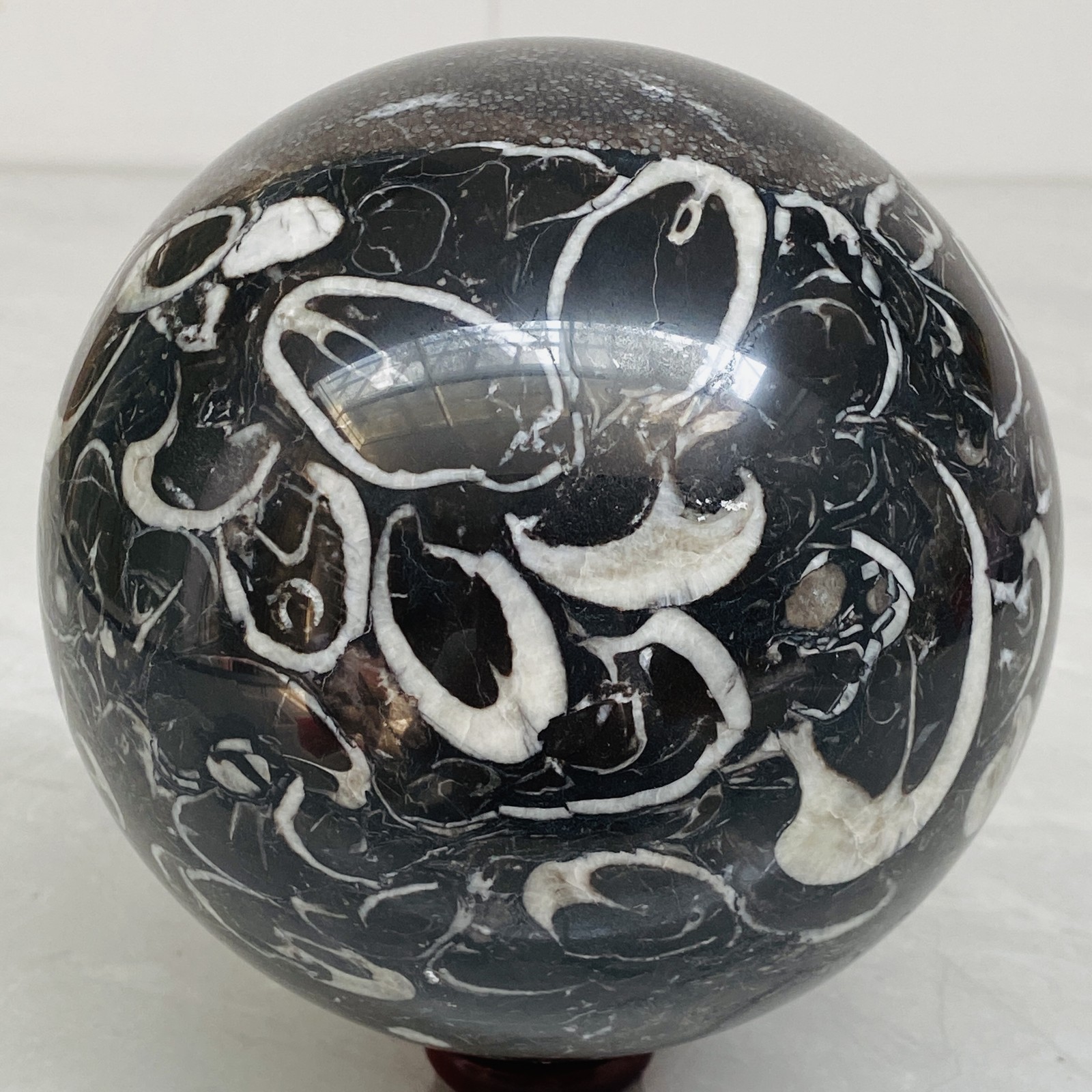 Natural Shell Jasper Thousand Eye Stone Crystal Polished Ball Healing (7.84LB)