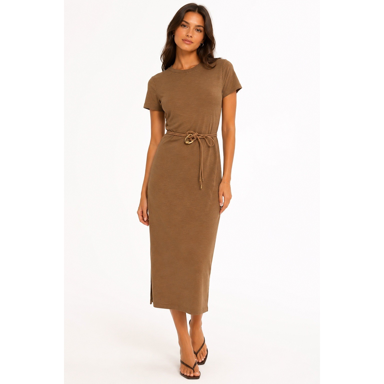 Montgomery Post Brown Short Sleeve Belted Shift Dress Petite Small SP NWT