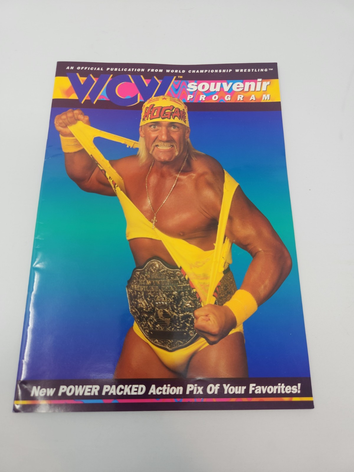 WCW Hulk Hogan 1994 Souvenir Pro Wrestling Program Vintage WCW Hulk Hogan 1994 Souvenir Pro Wrestling Program Vintage