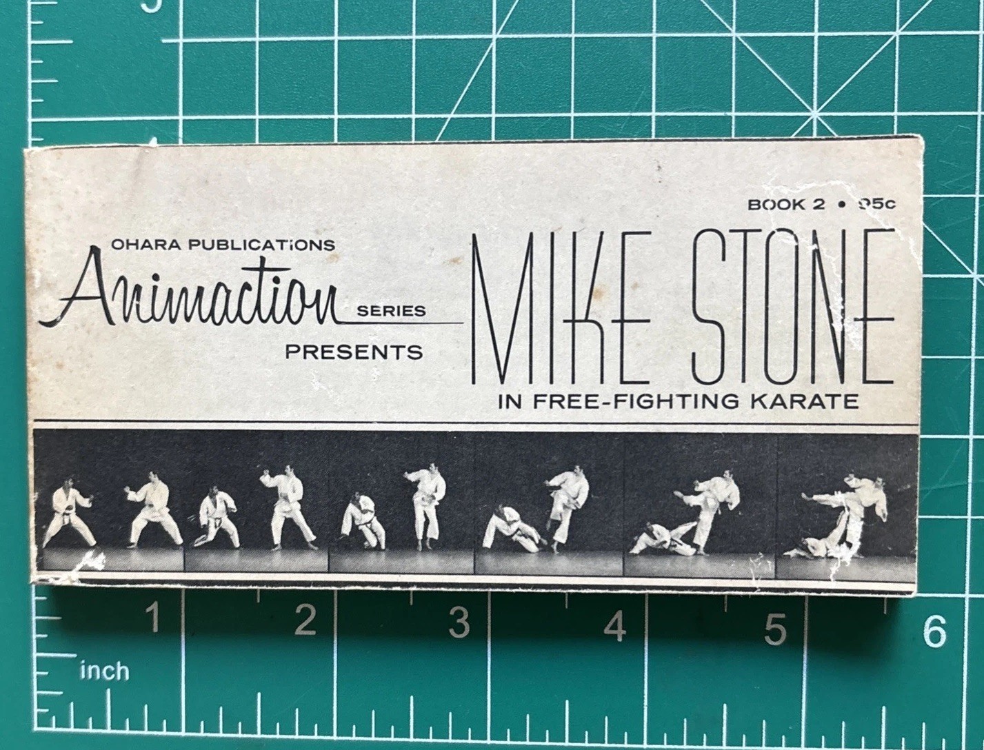 Rare Mike Stone Free Fighting Karate 1970 Animaction Paperback Free-Karate Rare Mike Stone Free Fighting Karate 1970 Animaction Paperback Free-Karate
