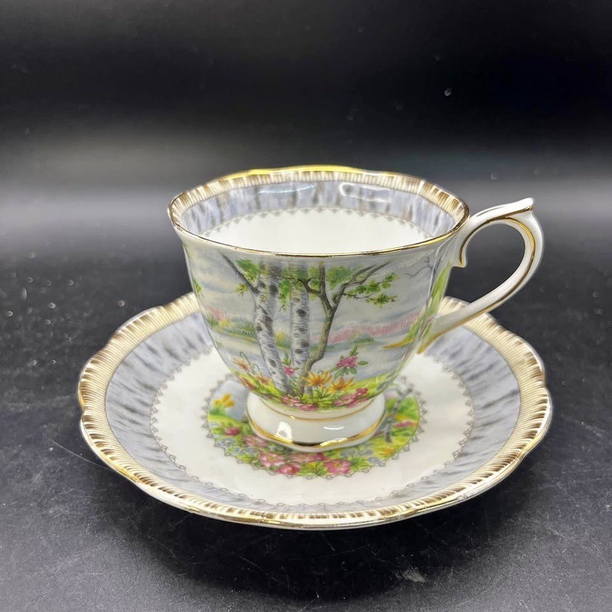 Vintage Royal Albert Bone China Silver Birch Teacup & Saucer England MINT Vintage Royal Albert Bone China Silver Birch Teacup & Saucer England MINT