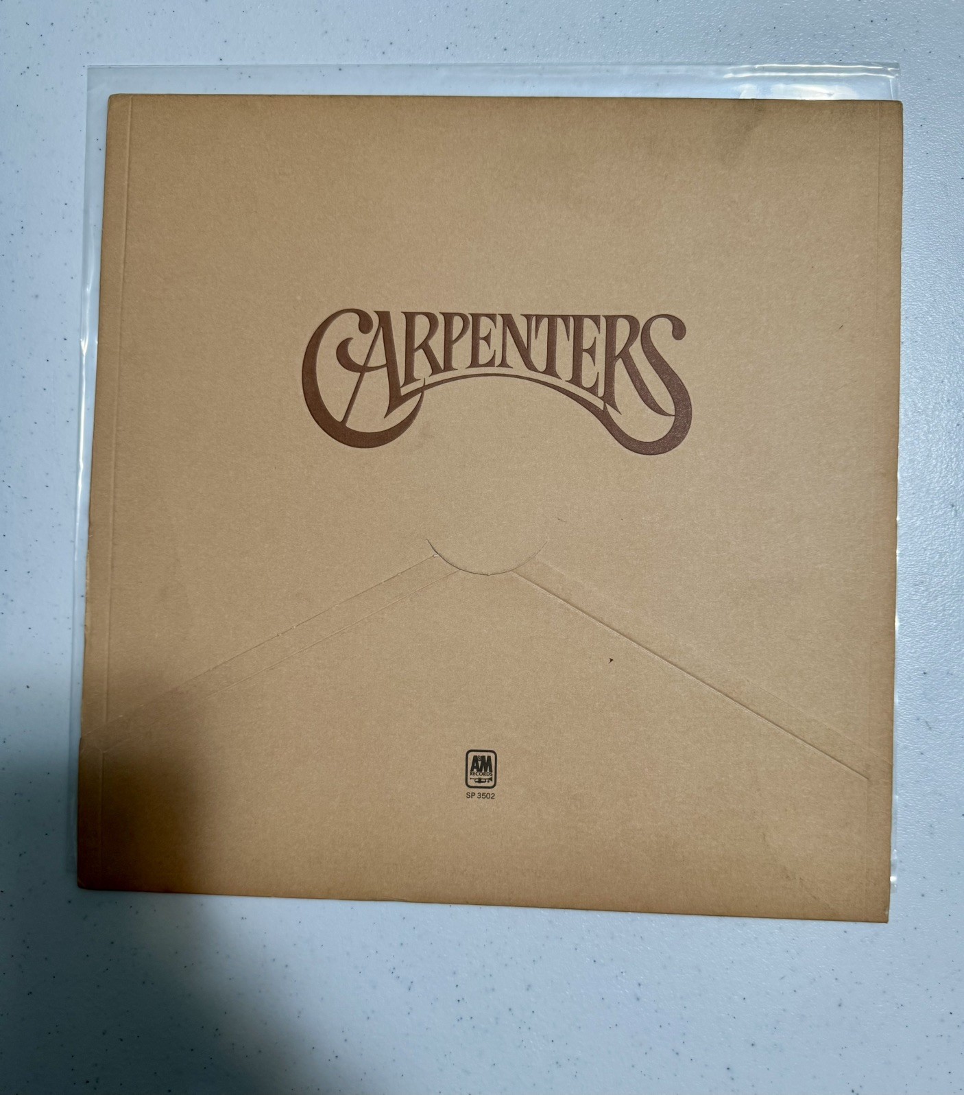 The Carpenters Self Titled Vinyl LP Record Album 1971 A&M Records SP-3502