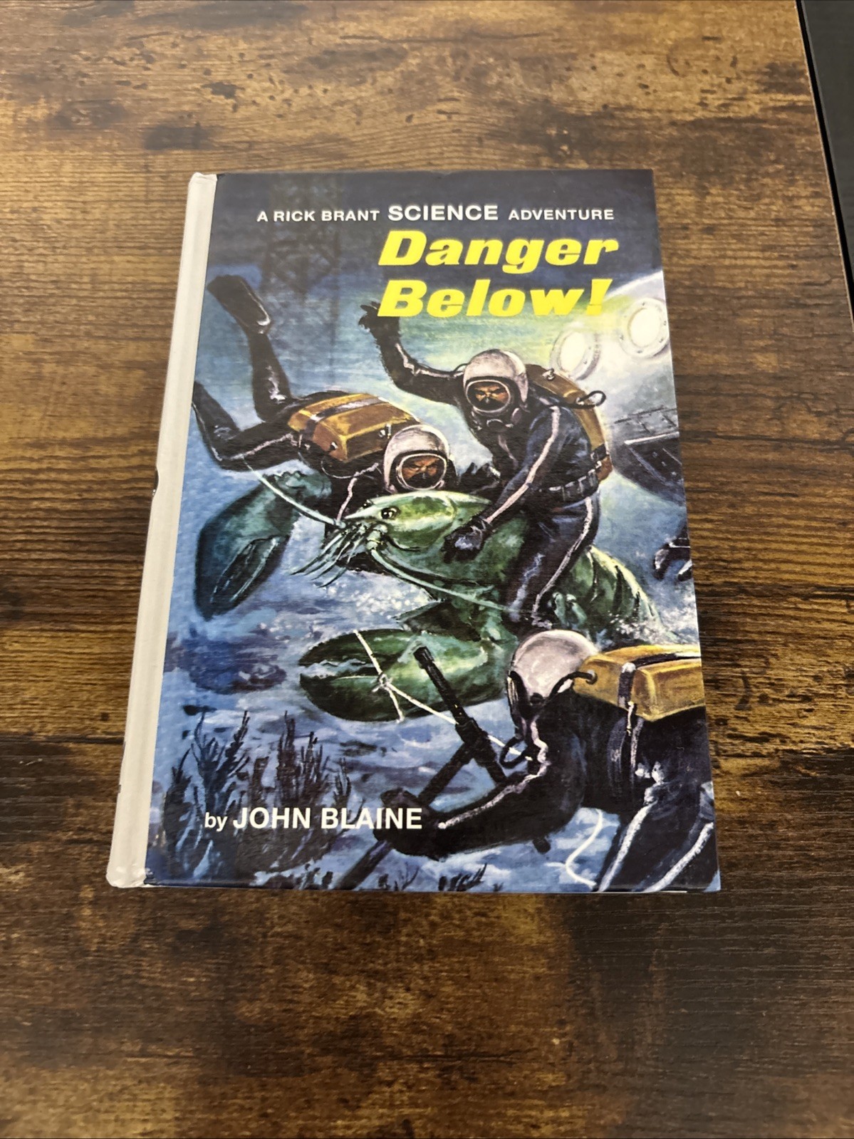 Vintage Rick Brant #23 Danger Below (American Web Books Reprint) Vintage Rick Brant #23 Danger Below (American Web Books Reprint)