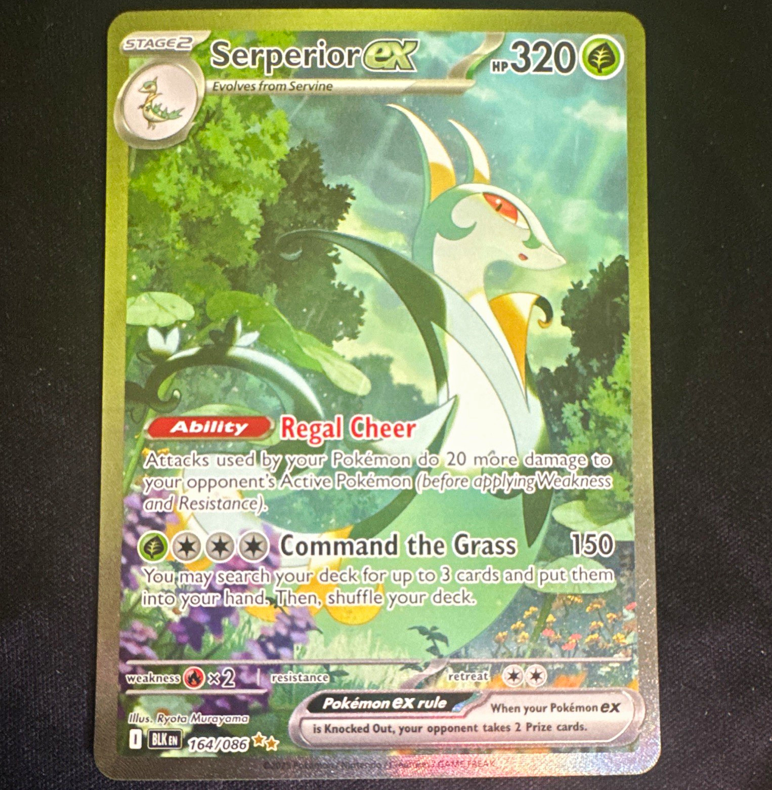 Serperior ex 164/086 Sv: Black Bolt Full Art Holo Ultra Rare English 320 HP
