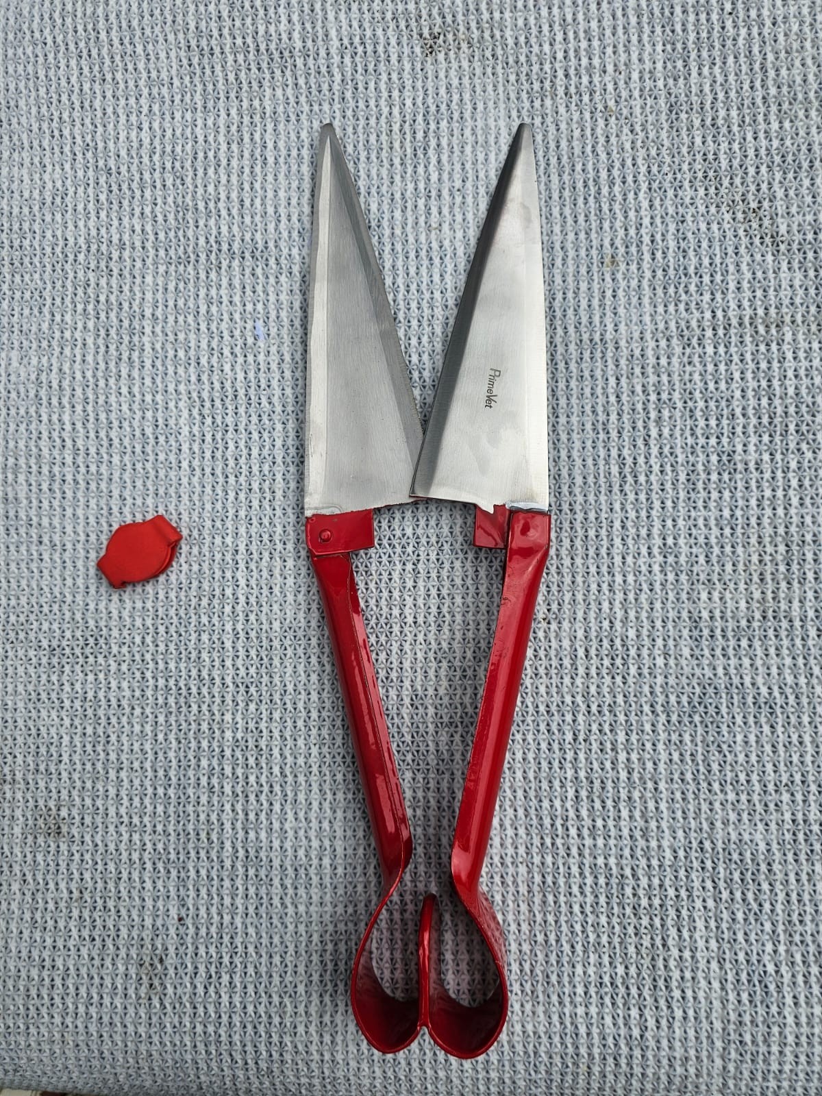 Large Sheep Shears 26cm, German Stainless Steel Livestock Grooming