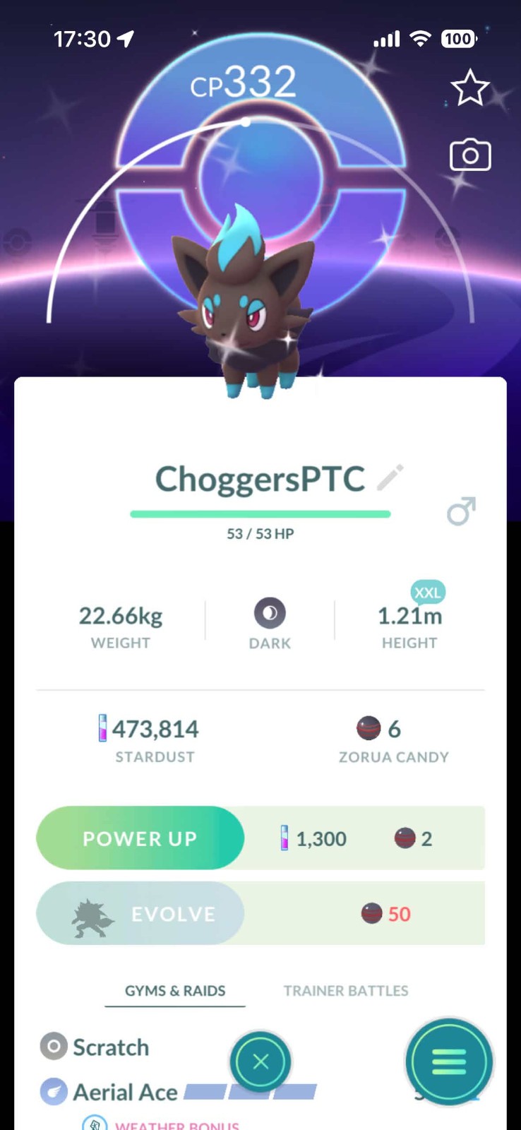 Pokemon Go FIVE PTC BUNDLE - 5x Shiny XXL Zorua Community Day Background