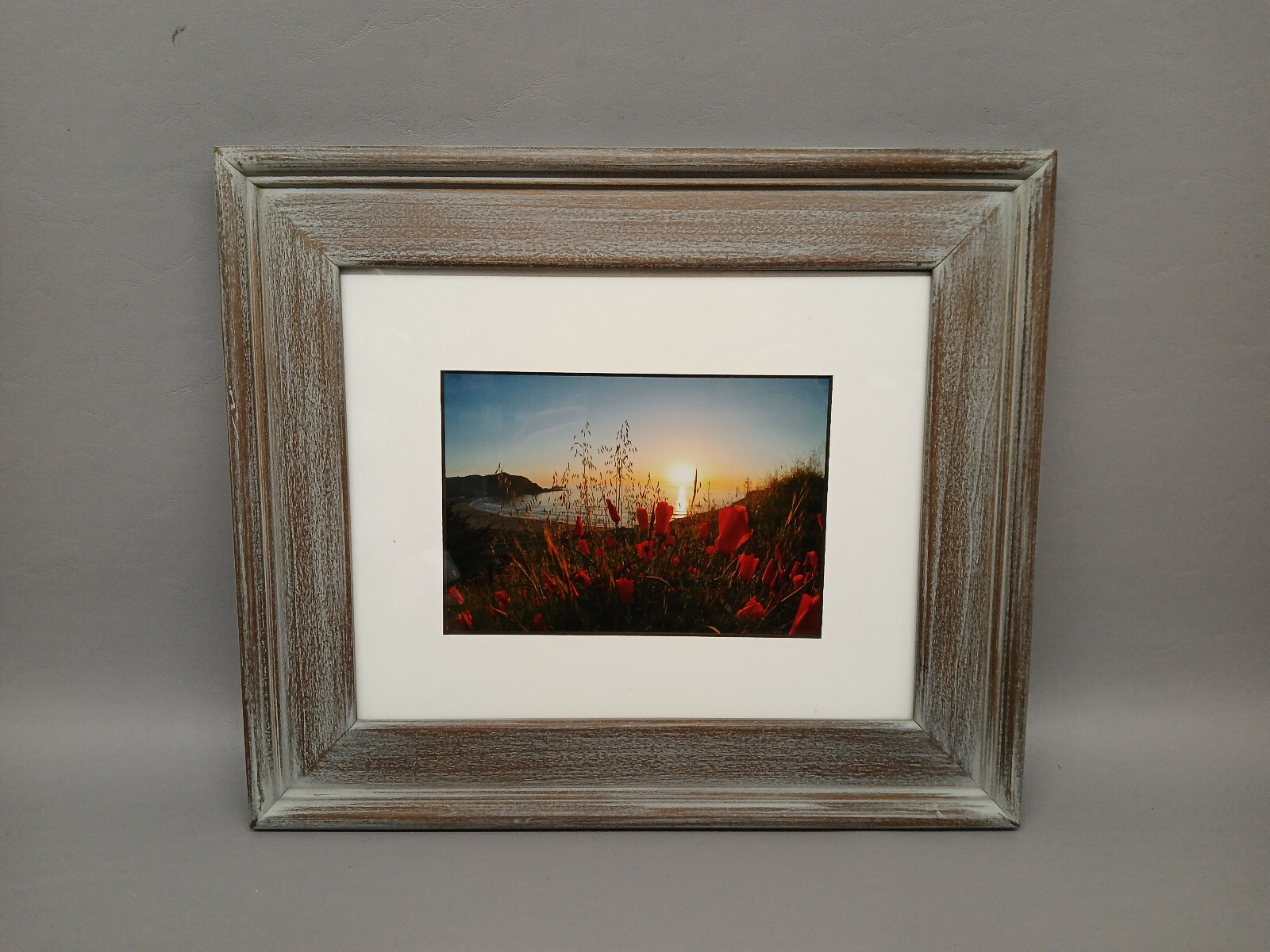 Tom Hart Flowers Beach Photograph Ocean Framed Art Decor