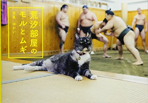 Mori and Mugi the Sumo Stable Cats English and Japanese Edit Mori and Mugi the Sumo Stable Cats English and Japanese Edit