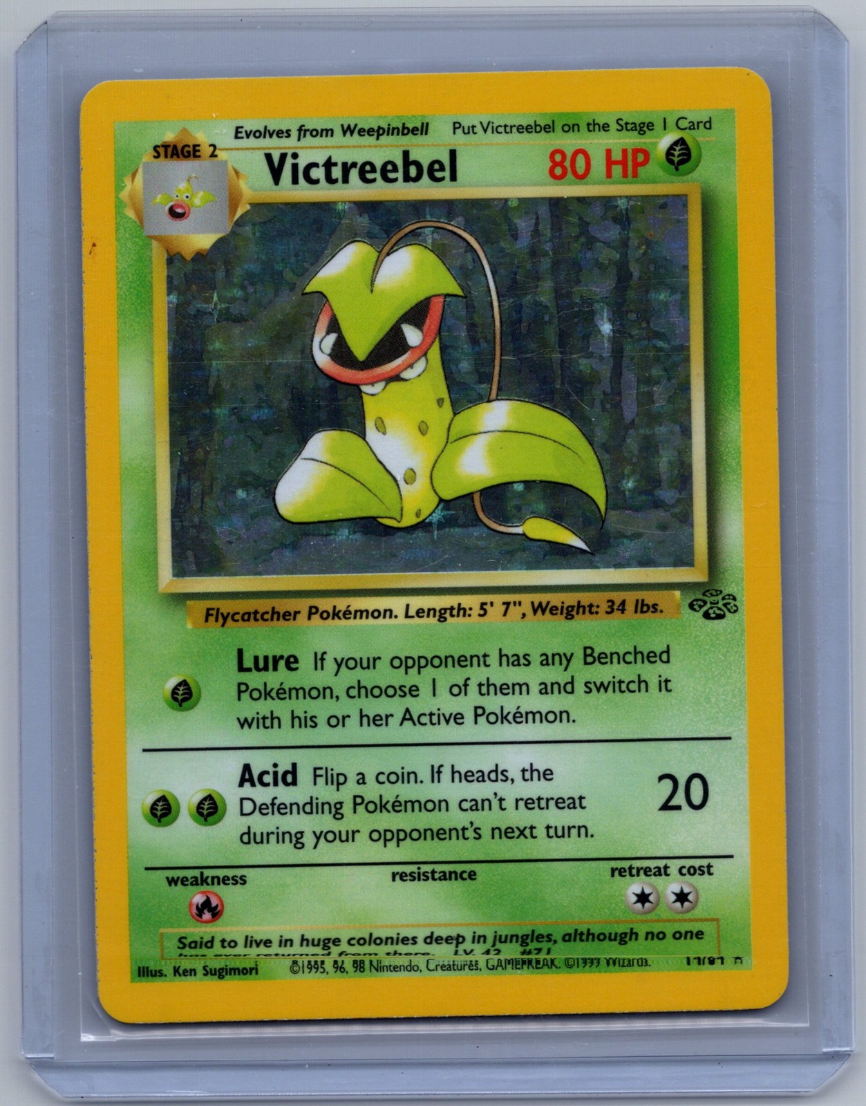 Victreebel Jungle 14/64 Holo WOTC Vintage Pokémon TCG