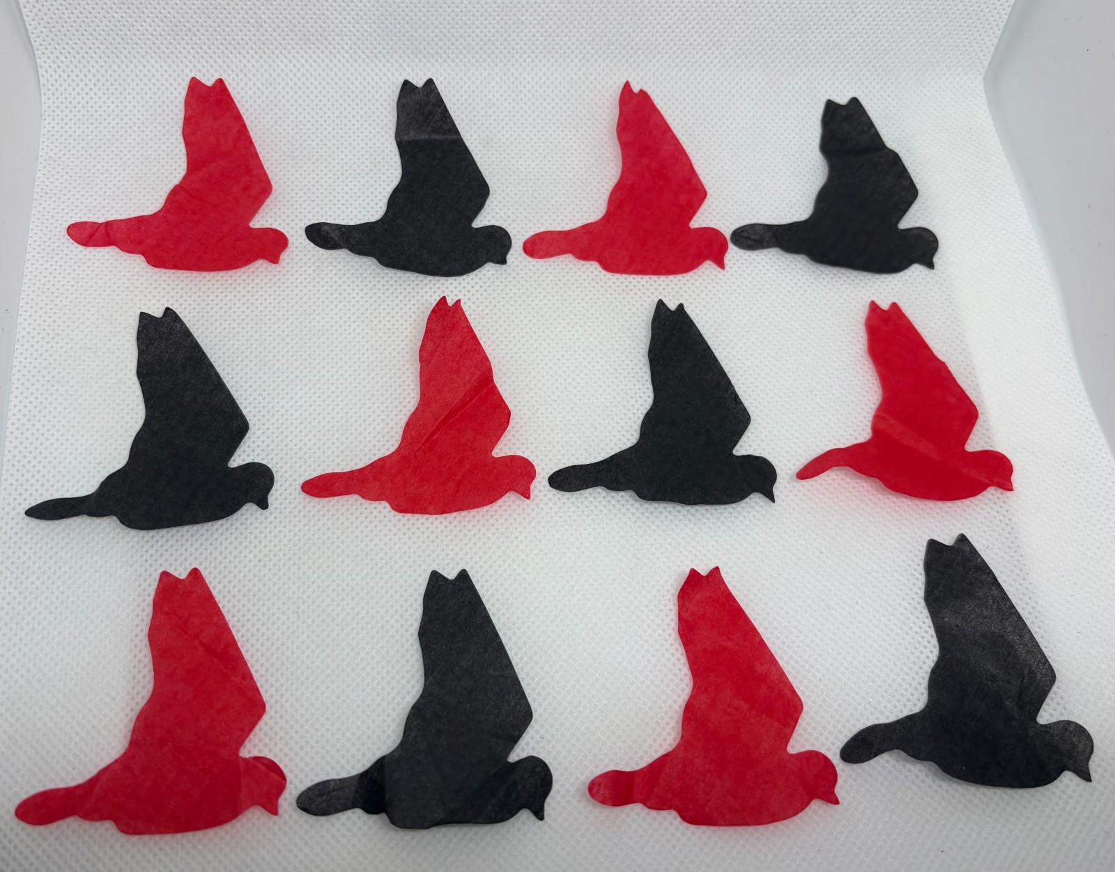 Evanescence Concert Confetti Live Stage Used at Shoreline Amphitheatre on 072026 Evanescence Concert Confetti Live Stage Used at Shoreline Amphitheatre on 072026