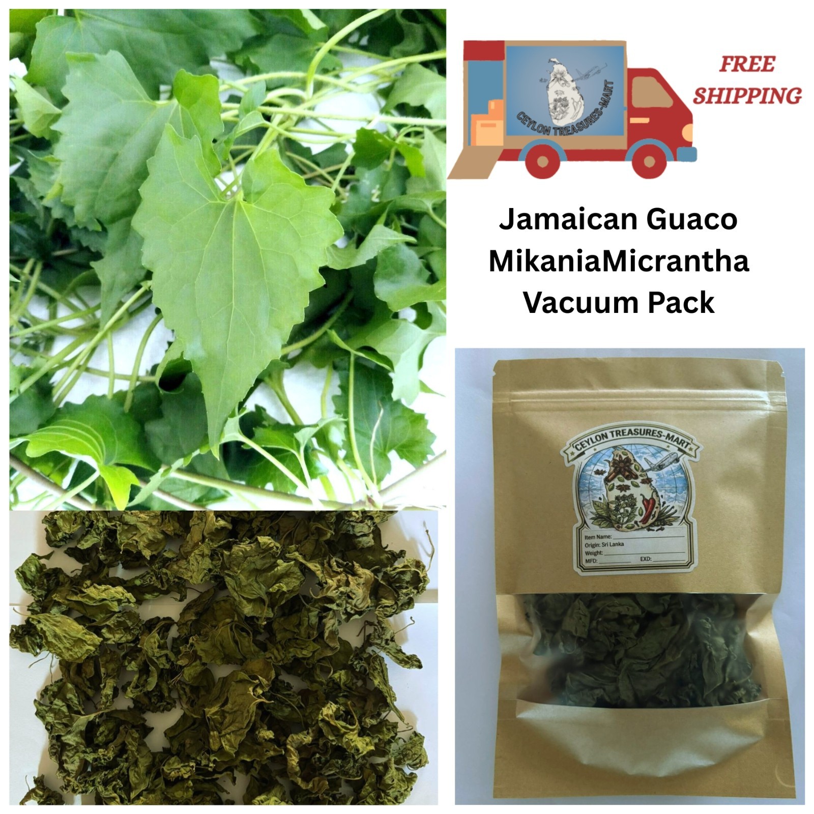 1000 Leaves Jamaican Guaco Mikania Micrantha Wildcrafted Herb Natural Healing
