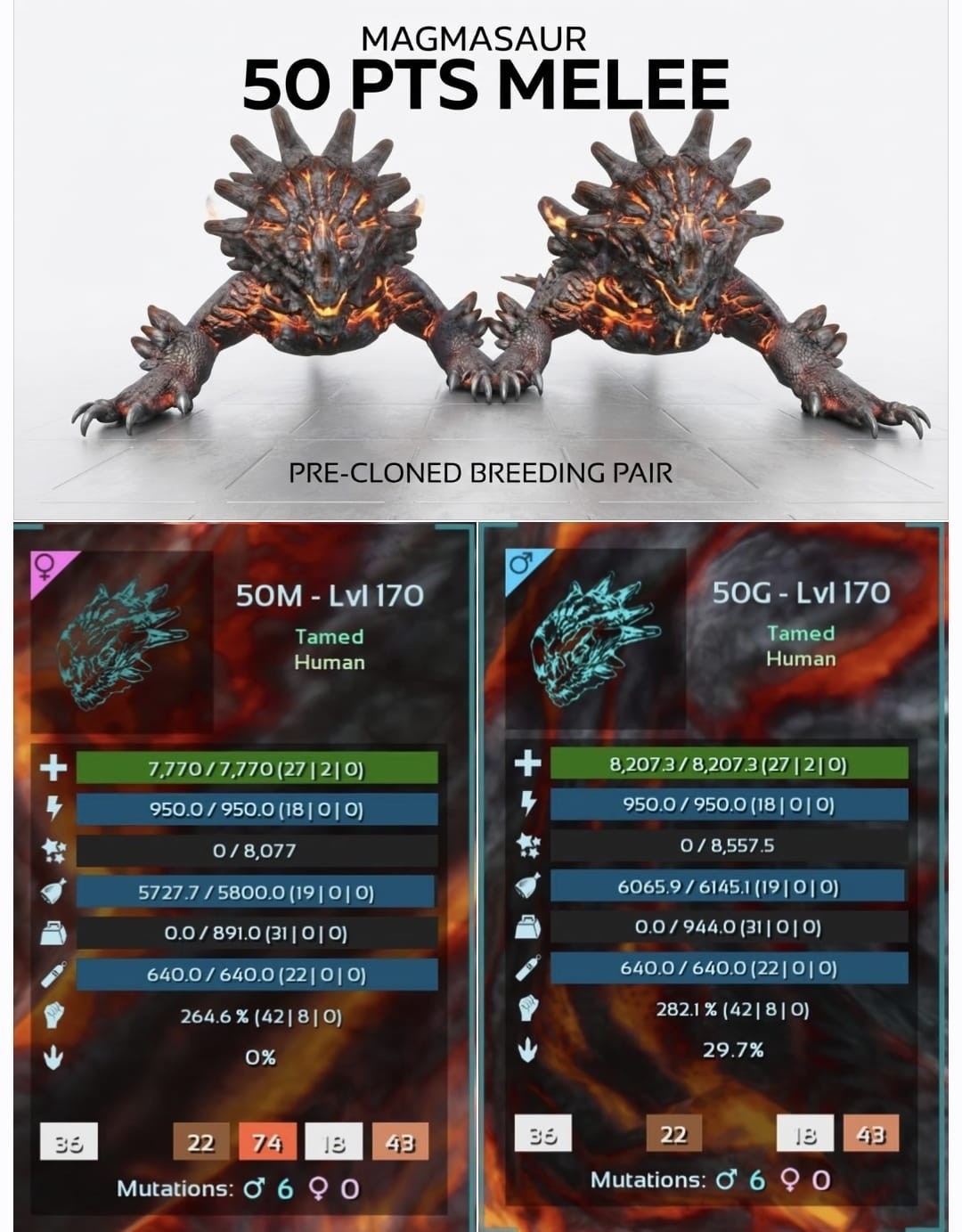 MAGMASAUR 50 PTS MELEE  Pre-Cloned Pair  Ark Ascended PVE Official Crossplay
