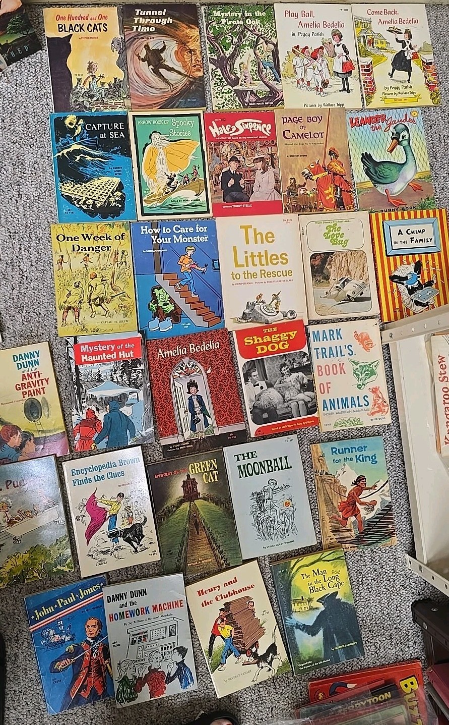 Vtg Lot SBS TX Scholastic & Others PB Books 1960s-90s VTG Variety Of Titles Rare