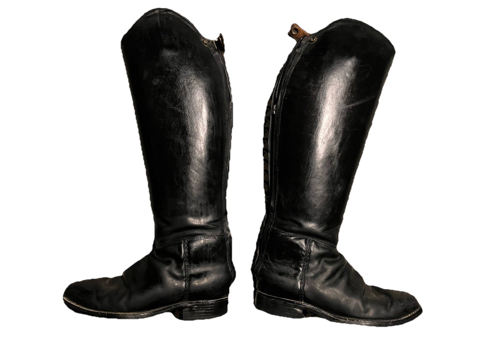 Ariat Maestro Pro Dress Boot zip 9B Tall Full Style 53101