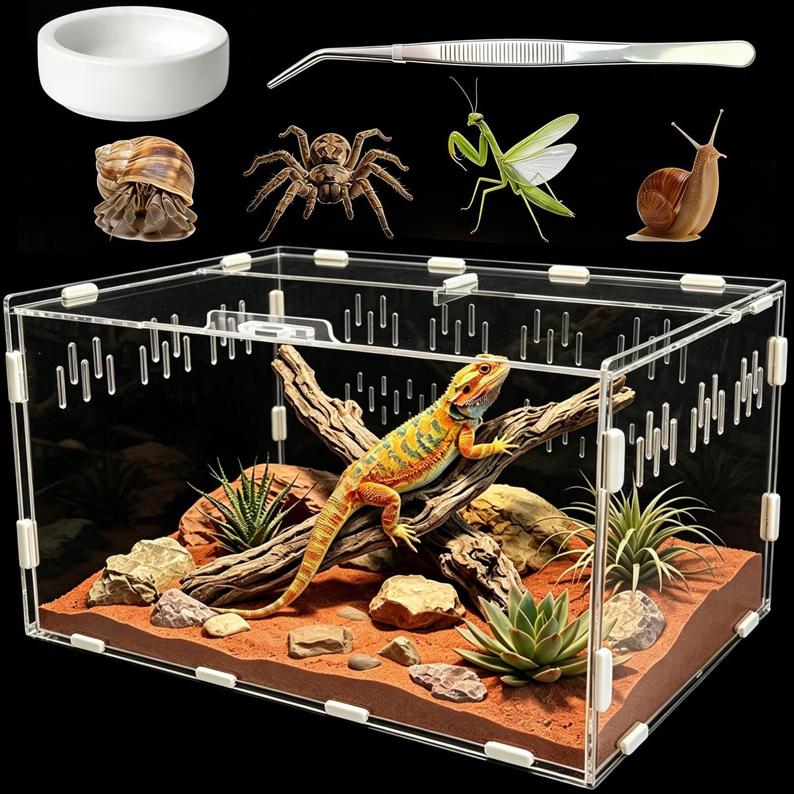 Acrylic Jumping Spider Enclosure - Versatile Terrarium for Small Reptiles