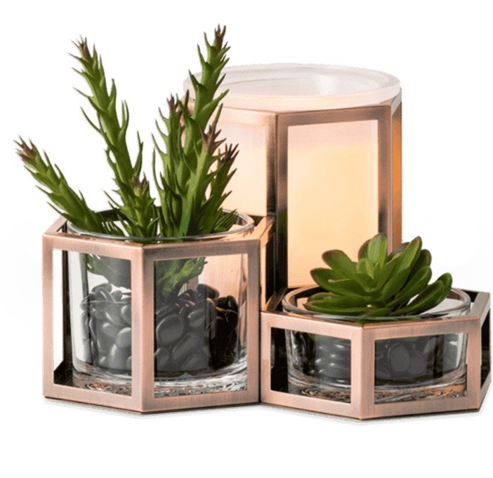 New Scentsy Wild Desert Full Size Warmer CACTUS FAUX SUCCULENTS Stones 5 New Scentsy Wild Desert Full Size Warmer CACTUS FAUX SUCCULENTS Stones 5
