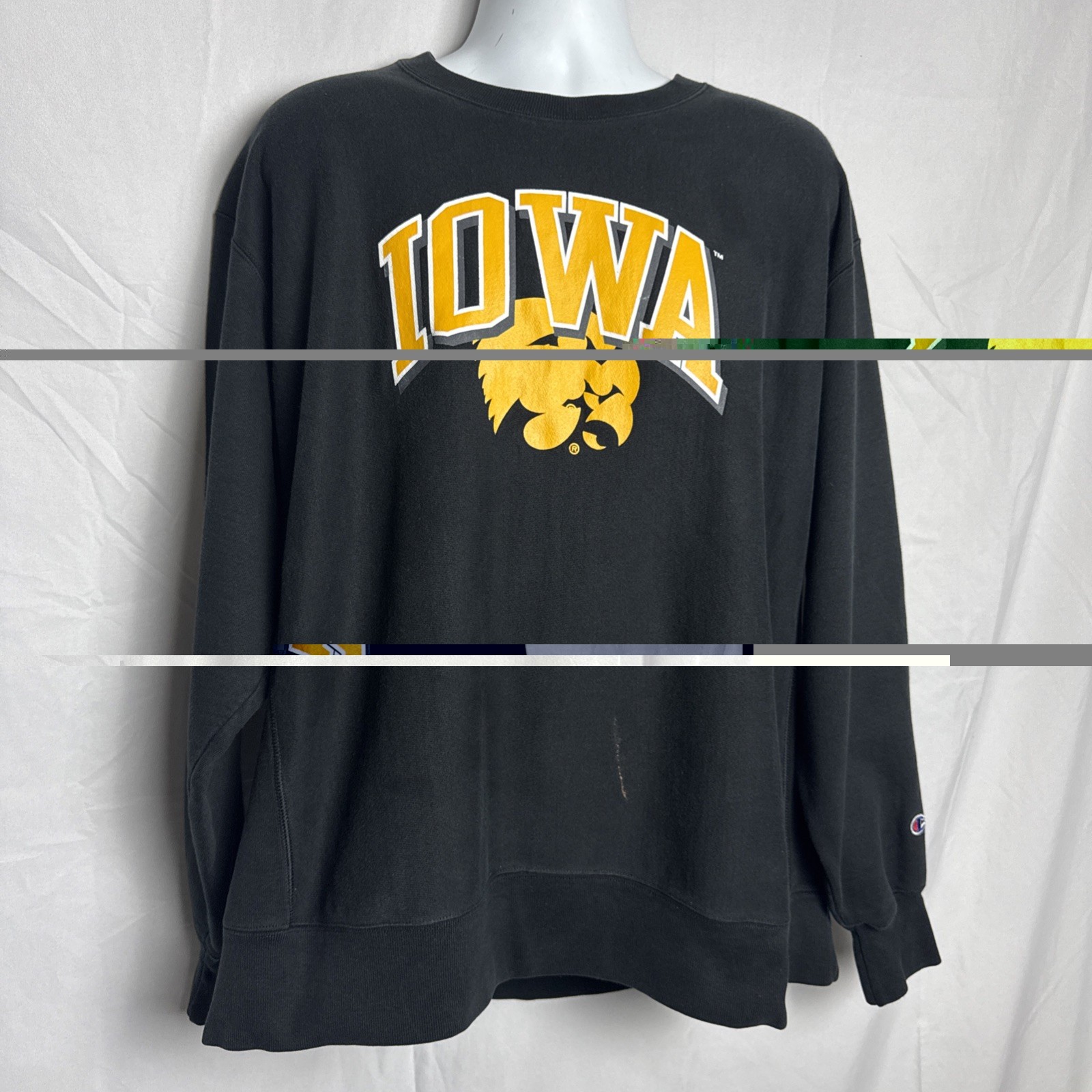 Vintage 1990s Champion Reverse Weave sweatshirt Iowa Hawkeyes Error Print 2XL