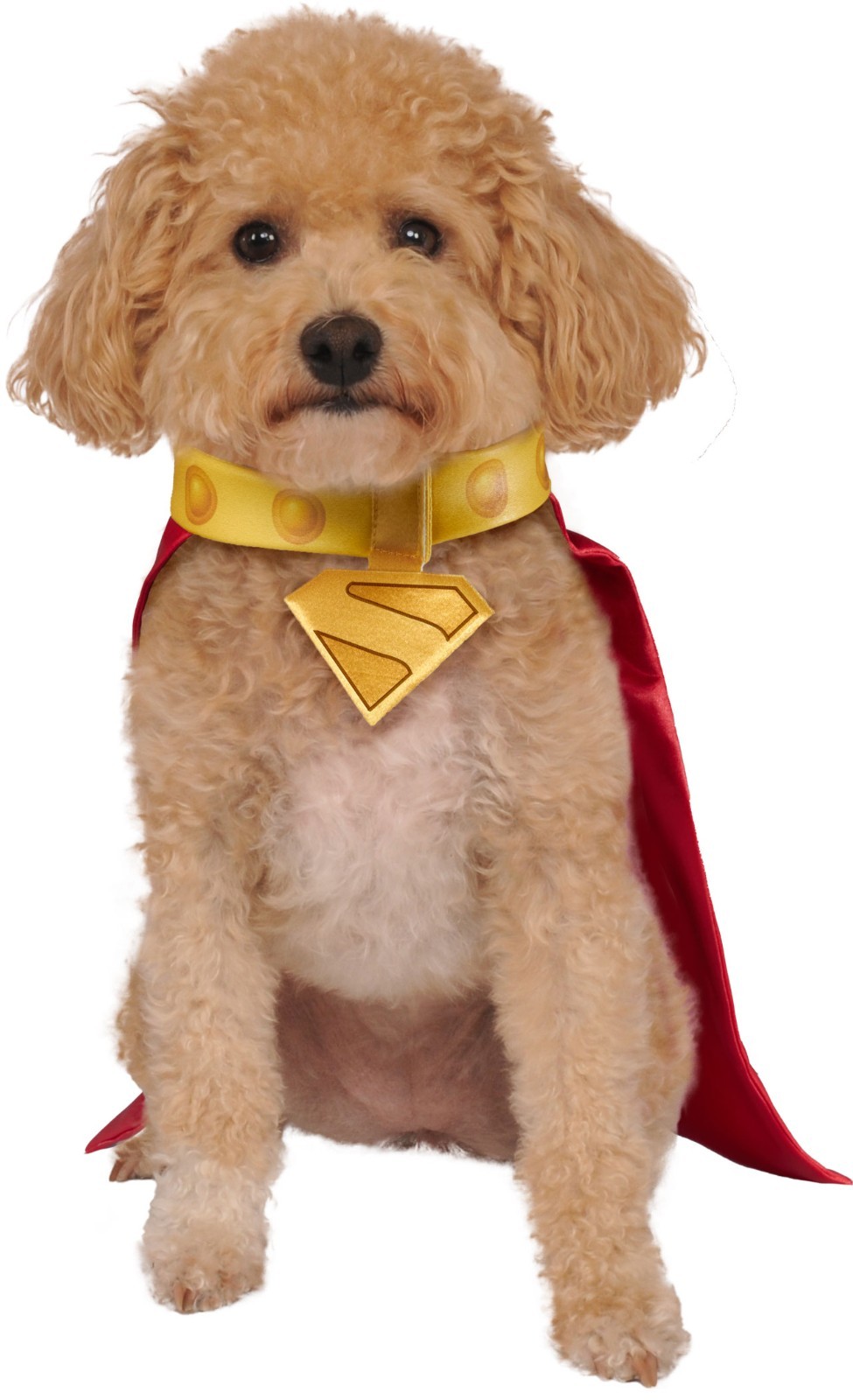 Rubies DC Comic Superman\'s Krypto Dog Cape With Collar Halloween S, M, L, XL