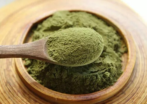 Bacteria Cleanse Capsules for HSV Outbreaks & Candida - Dr Sebi