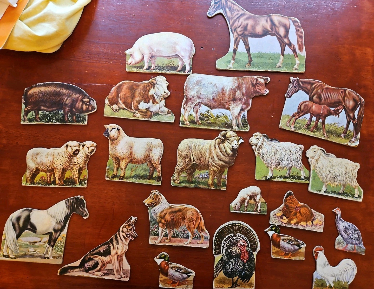 Antique Die Cut Mid-Century Standee Paper Litho Toy Farm Animals, 21 + 13 Stand