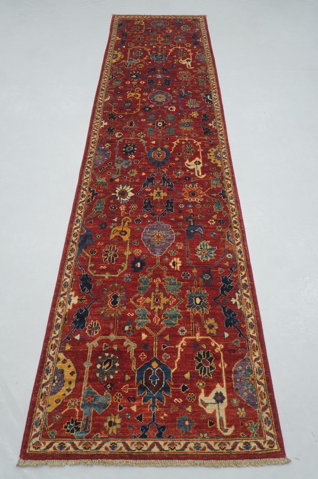 3x11 ft Red Bidjar Afghan Hand knotted Wool Oriental Runner Rug
