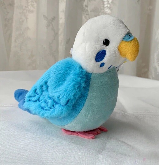 Blue Budgerigar Budgie Bird 5.5\