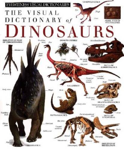The Visual Dictionary of Dinosaurs - Hardcover By DK Publishing - GOOD The Visual Dictionary of Dinosaurs - Hardcover By DK Publishing - GOOD