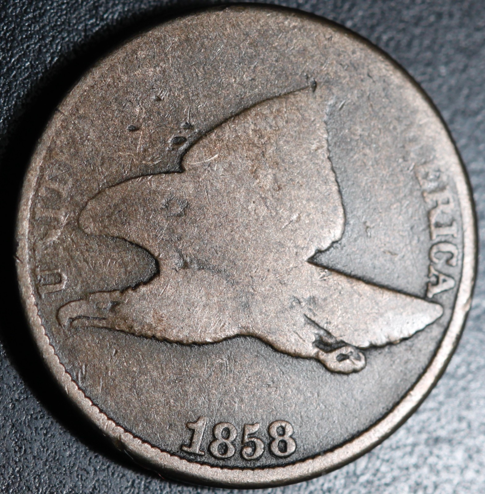 1858 FLYING EAGLE CENT - Large Letters LL 1858 FLYING EAGLE CENT - Large Letters LL