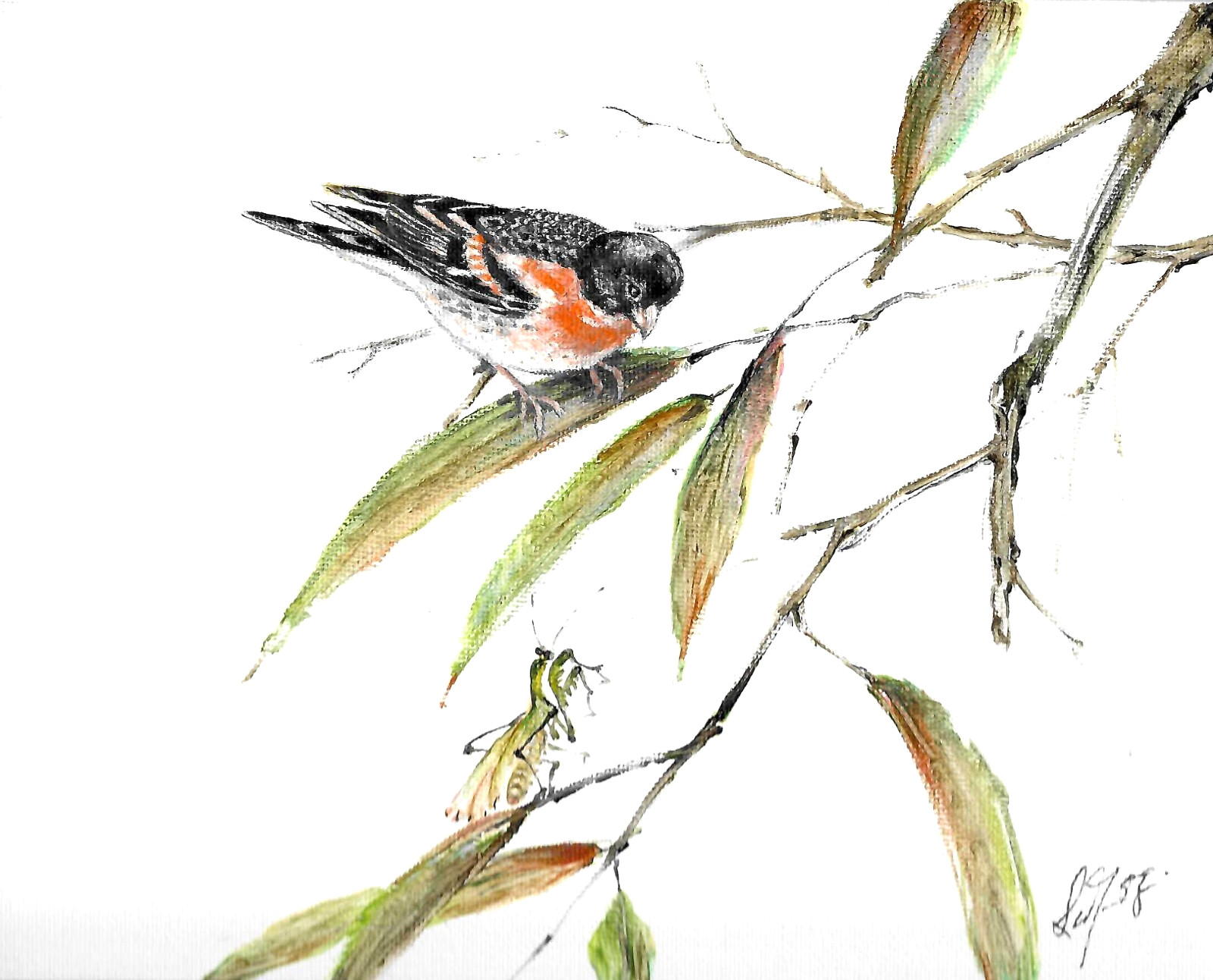 ✤ ORIGINAL Oil Bird Portrait Painting BRAMBLING Mantis Warbler Artist Signed Art