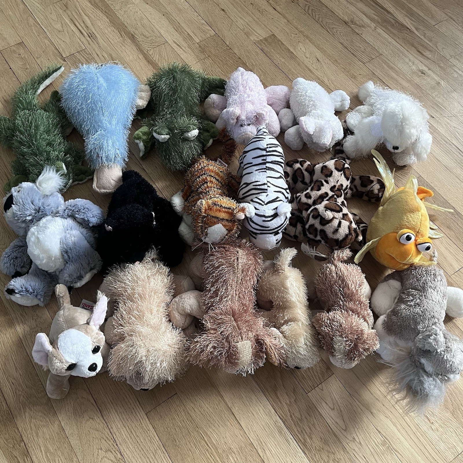 Lot of 18 Ganz Webkinz Plush Stuffed Animals Dogs Cats Koala Frog - NO CODES Lot of 18 Ganz Webkinz Plush Stuffed Animals Dogs Cats Koala Frog - NO CODES