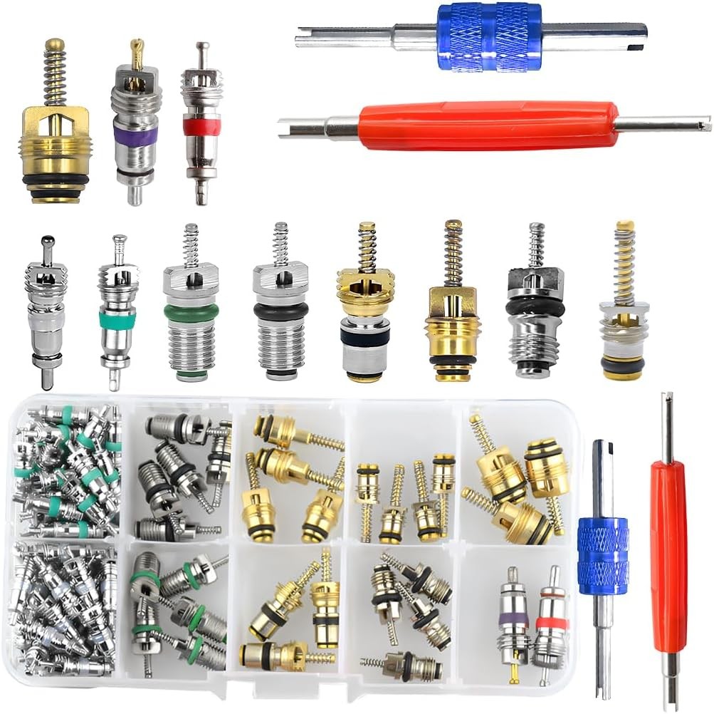 102PCS Car AC Valve Core Kit R134A R12 with Dual Remover Tool