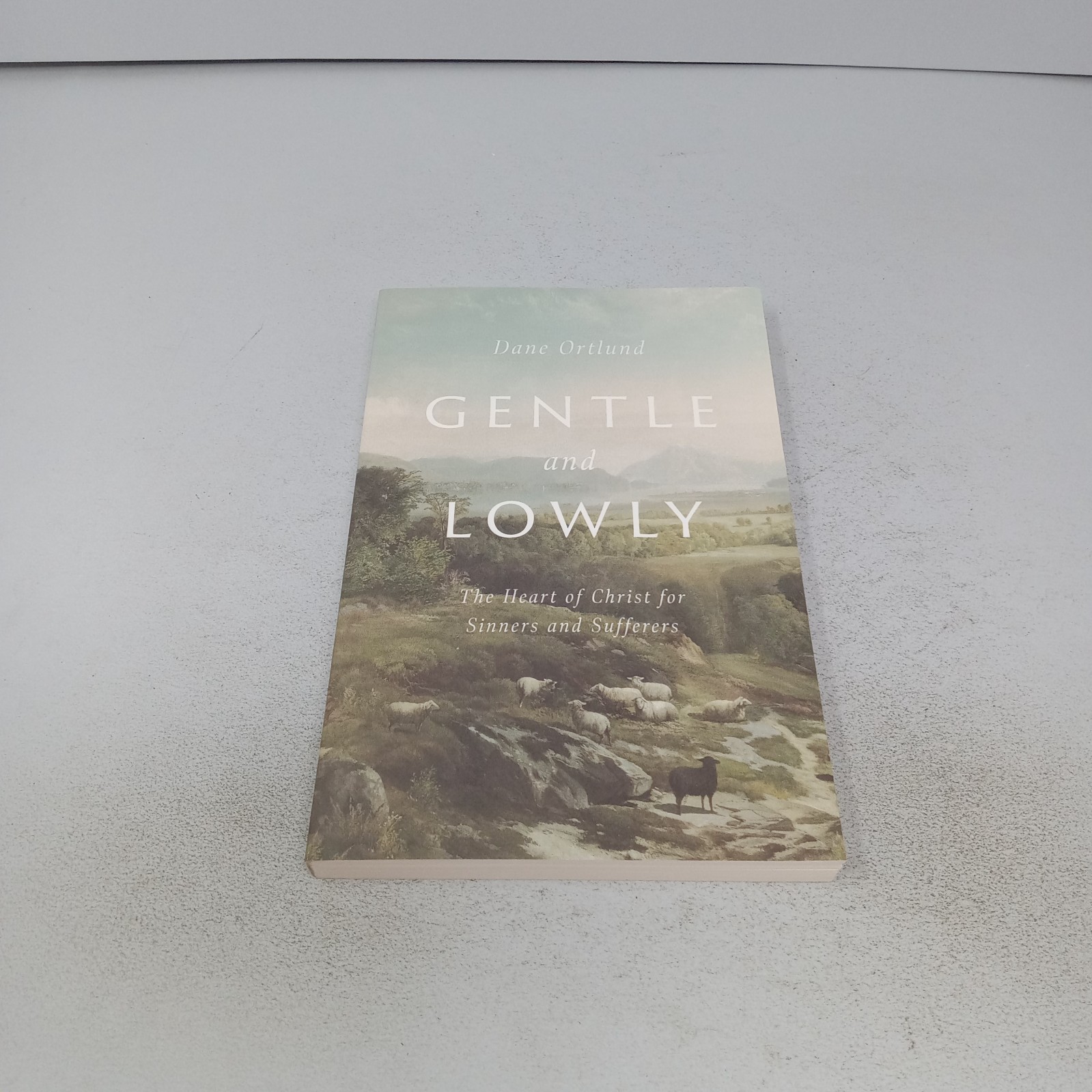 Gentle and Lowly: 2020 Crossway Paperback by Dane Ortlund Gentle and Lowly: 2020 Crossway Paperback by Dane Ortlund