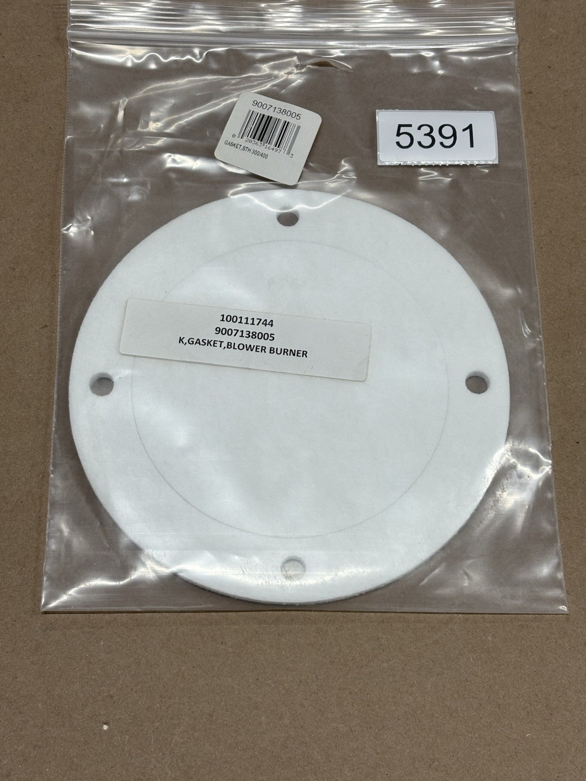 AO Smith 9007138005 Gasket 300/400