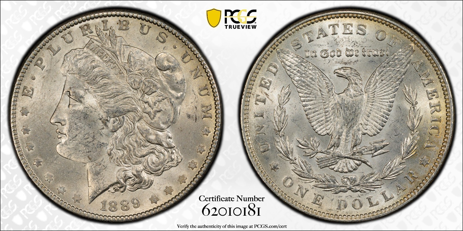 1889 MORGAN SILVER DOLLAR JUST GRADED PCGS MS62 1889 MORGAN SILVER DOLLAR JUST GRADED PCGS MS62