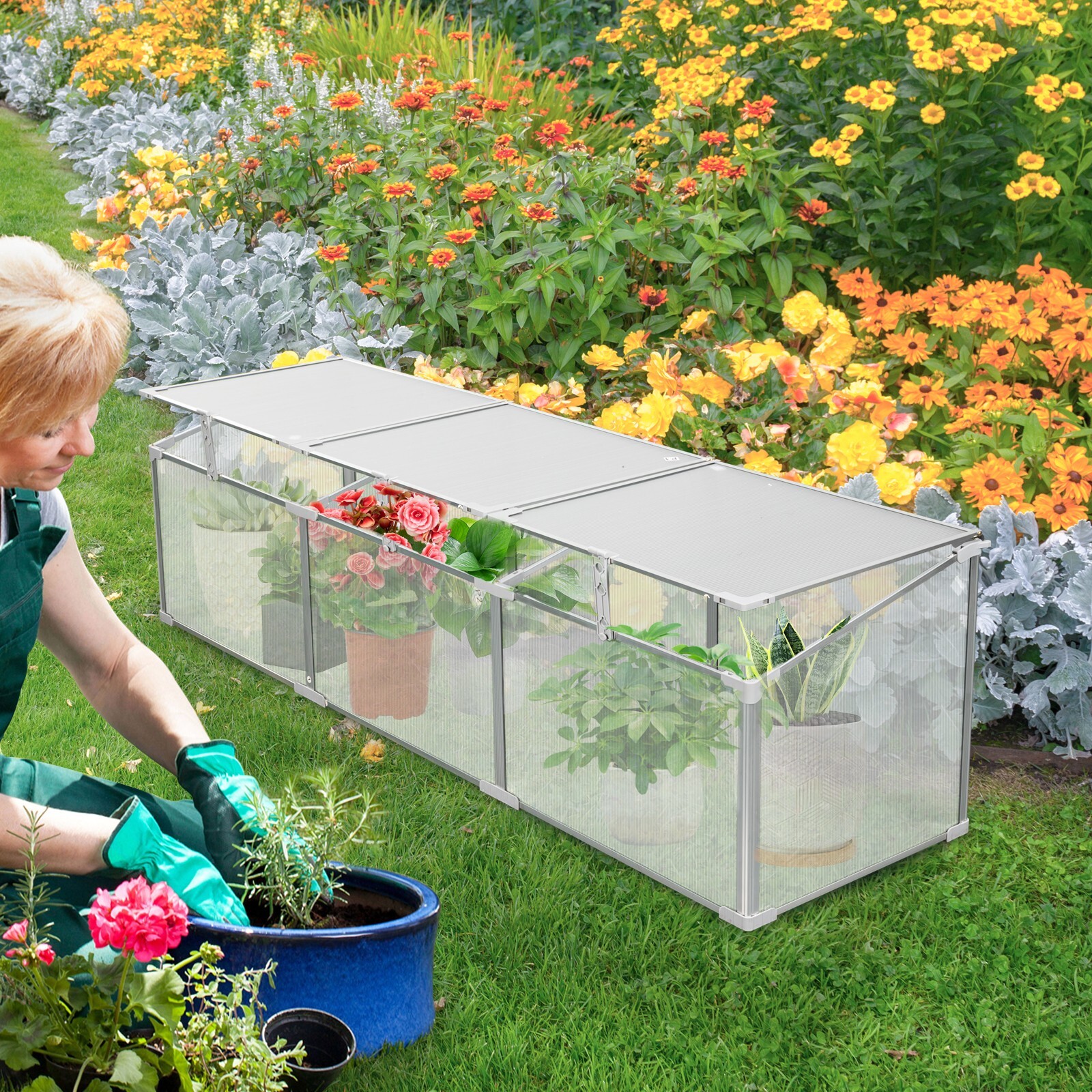 6x6 6x8 6x10 8x6 8x10 FT Outdoor Greenhouse with Sliding Door & Vents for Garden