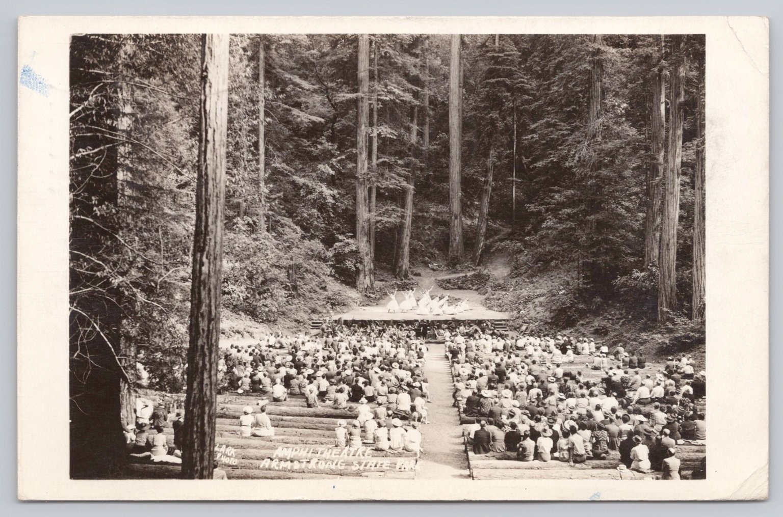 1945 Guerneville CA Armstrong State Park Amphitheater Real Photo Postcard RPPC