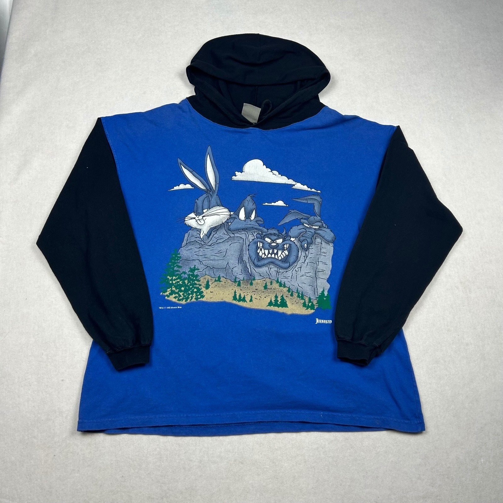 Vintage 90s Looney Tunes Mount Rushmore Hooded Shirt 2XL Jostens