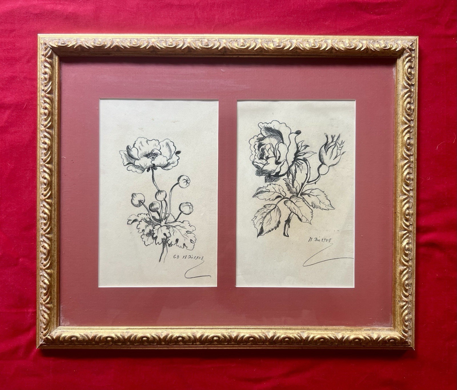 1908 French Antique Original Botanical Drawing Belle Epoque Framed Under Glass 