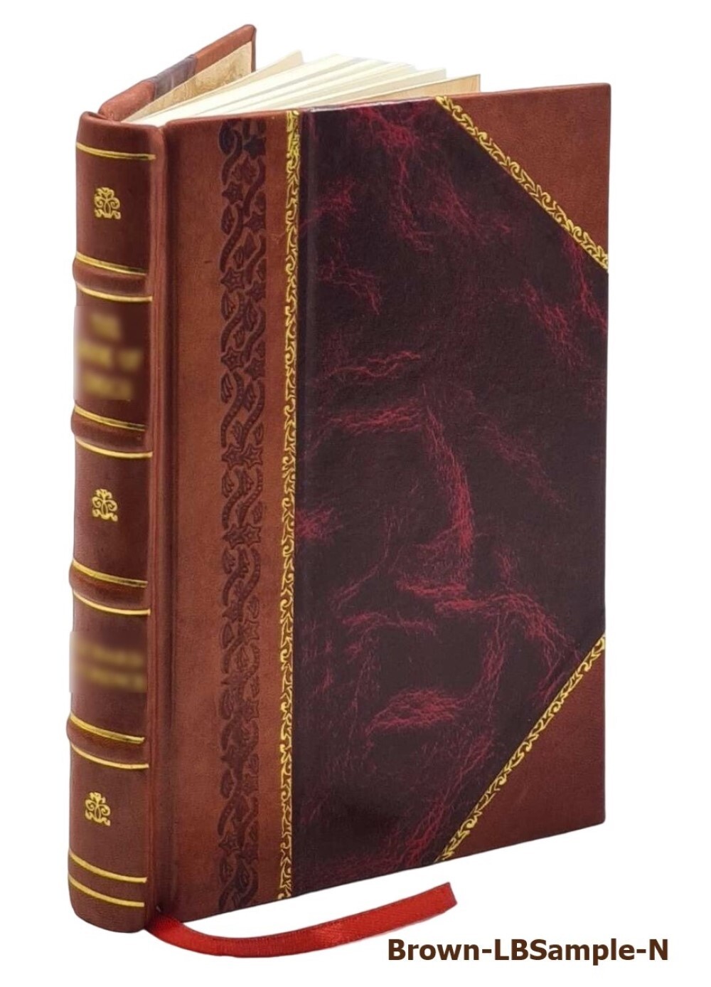 Deutschland und seine Kolonien im Jahre 1896 Amtlicher Bericht è [Leather Bound]