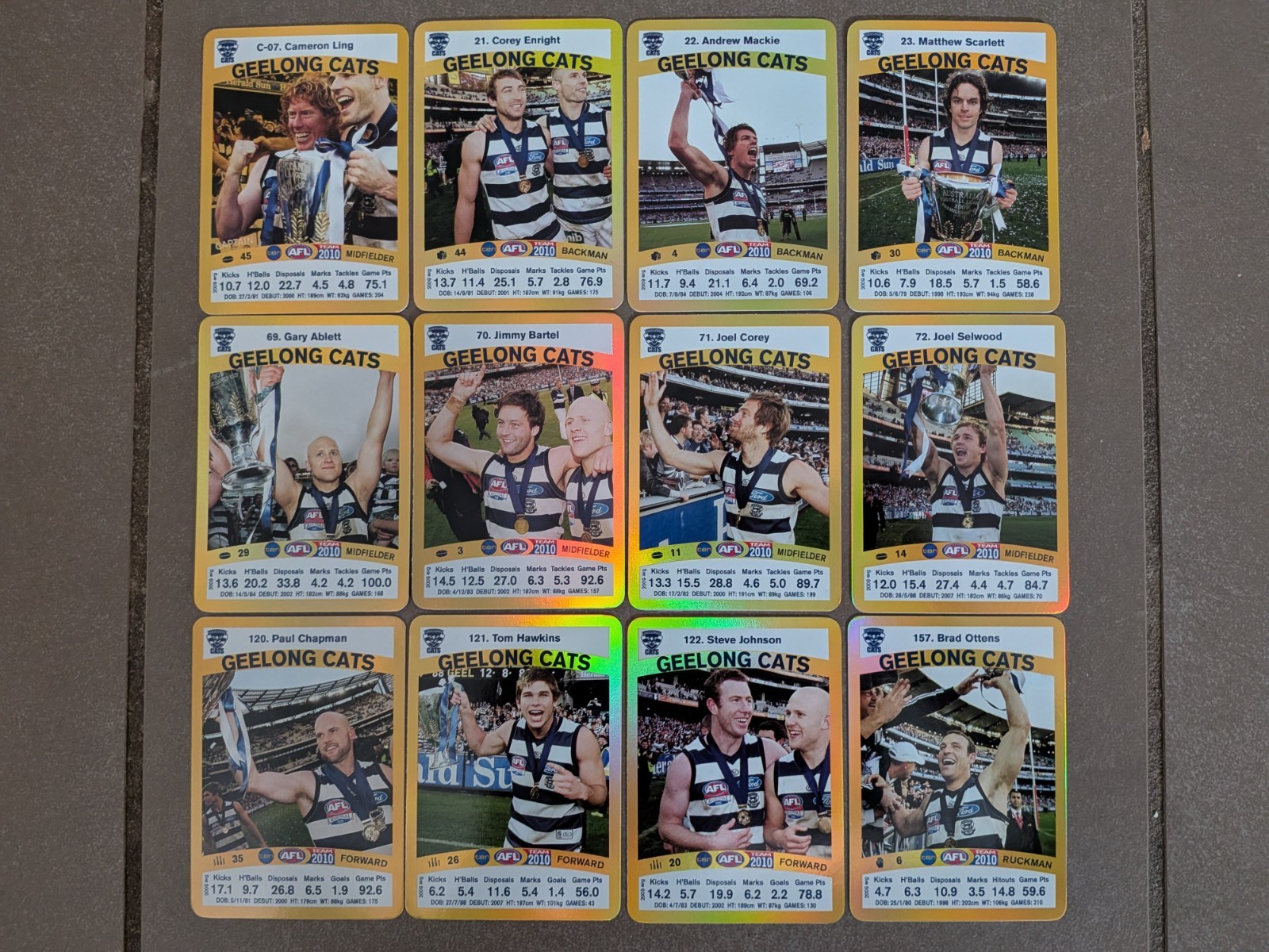 2010 AFL Teamcoach Card Gold Parallel Team Set Geelong CATS 2009 Premiership