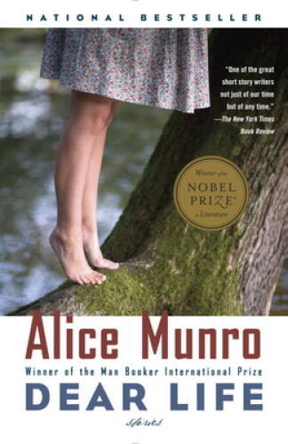 Dear Life: Stories (Vintage International) - Paperback - VERY GOOD Dear Life: Stories (Vintage International) - Paperback - VERY GOOD