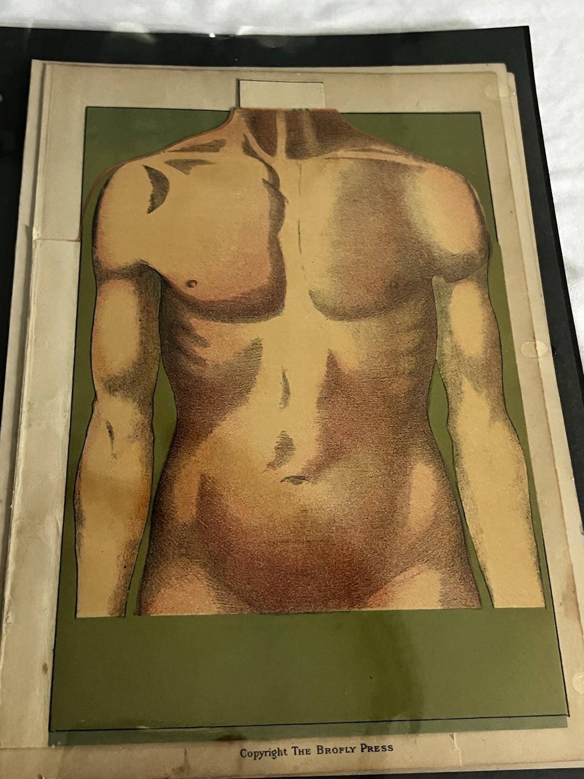 Vintage Brofly Press Layered Human Anatomy Chart Medical Teaching Aid