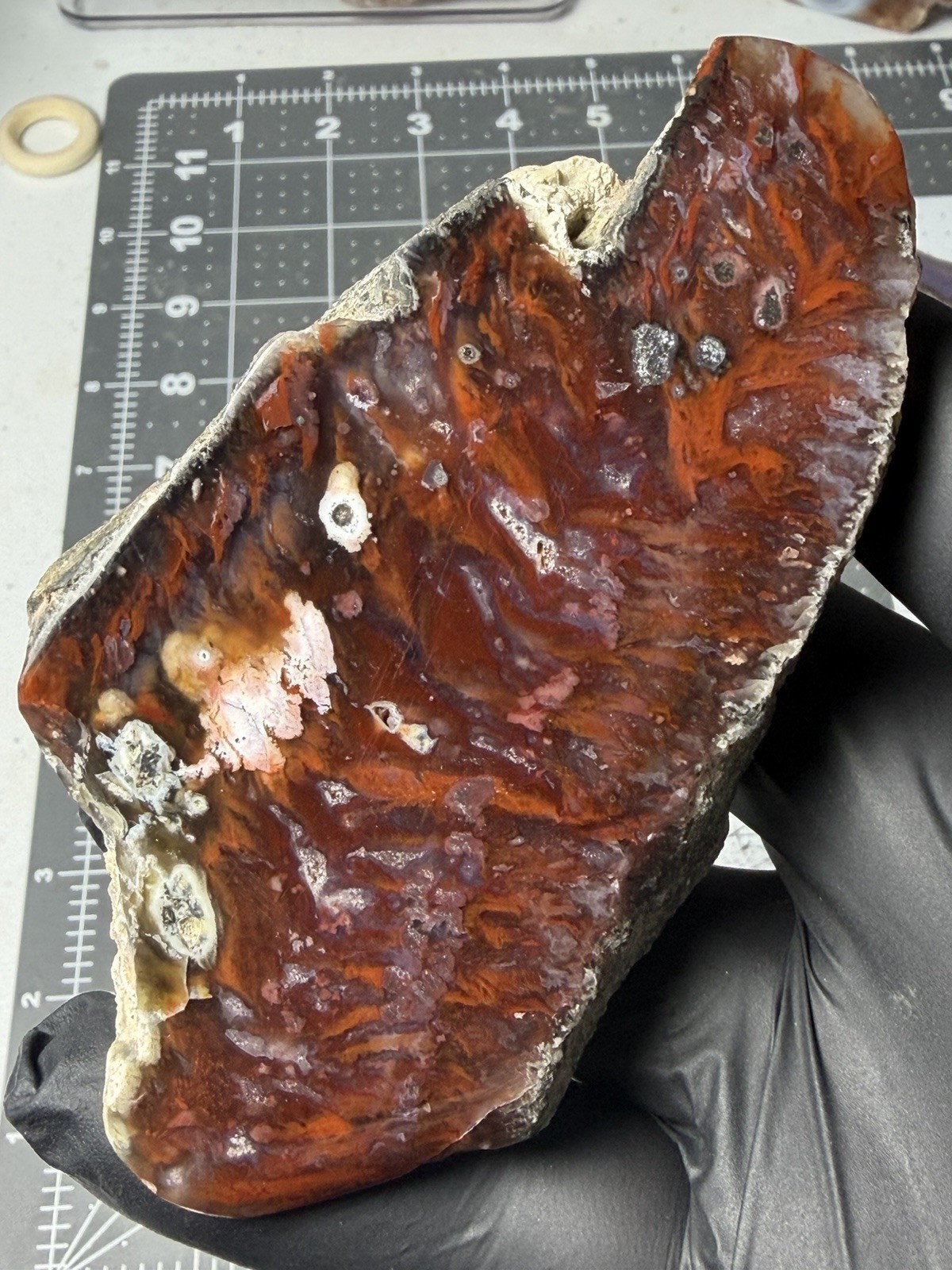 Rare Flame Agate Mexico Old Stock Plume Polished Specimen Rare Flame Agate Mexico Old Stock Plume Polished Specimen