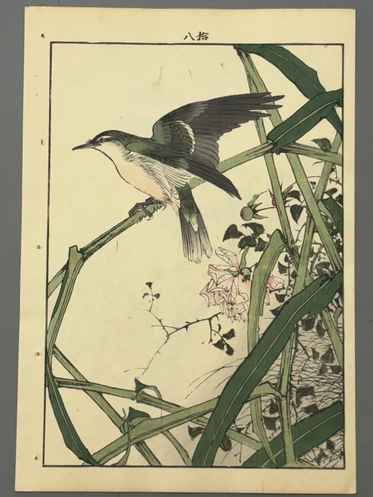 Japanese Antique Original Woodcut Print, 1892, Imao Keinen, \