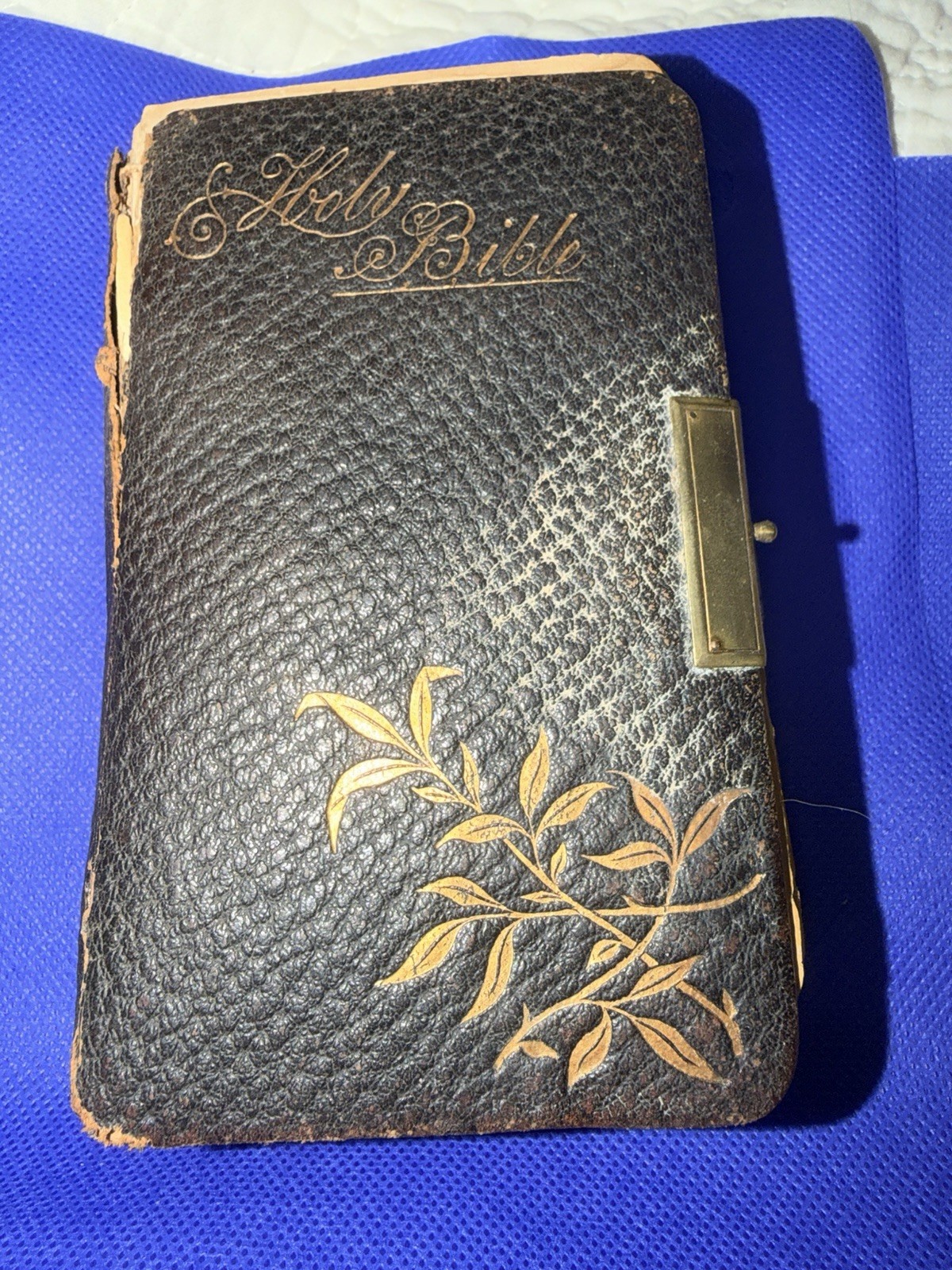 Antique 1885 Pocket Bible with Brass Clasp Antique 1885 Pocket Bible with Brass Clasp