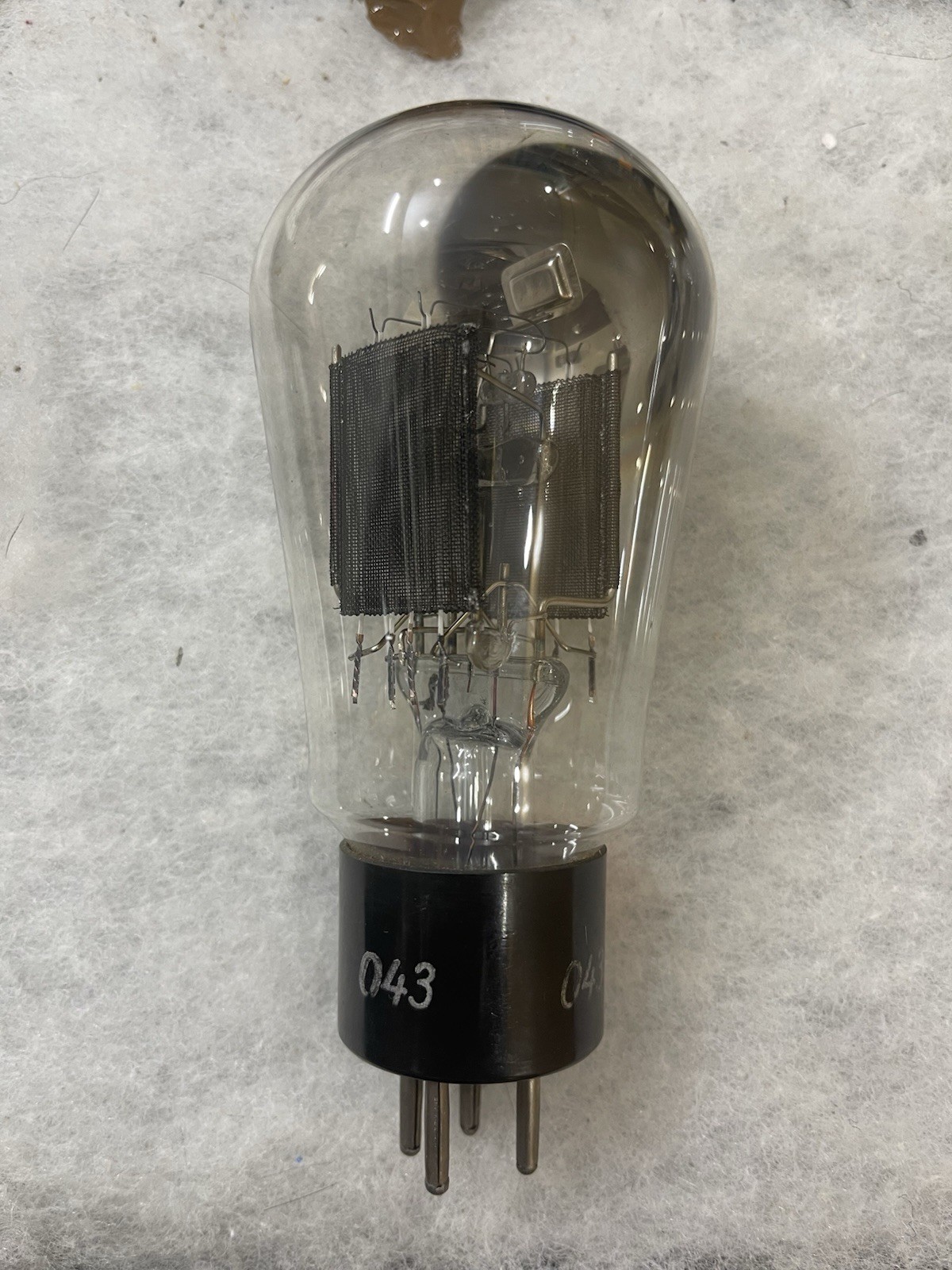 Telefunken RGN4004 RGN2504 2004 KL76303 1561 (4V) Black Mesh Plate Like U52 5U4G